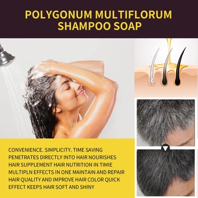 100ml/500ml Hair Dye Shampoo 3in1 Darkening Hairs Instant Gray To Black Polygonum Multiflorum Natural Coloing Cover Men Women - LKBA
