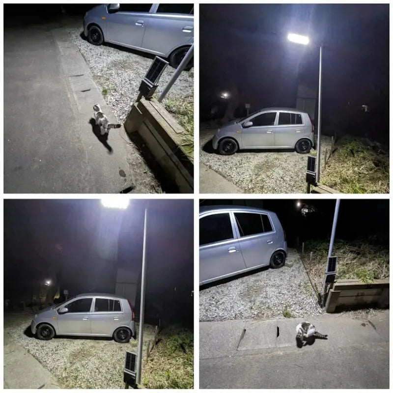 250W Solar Lights Outdoor Waterproof 8000LM LED Flood Lights Motion Sensor with Remote 3 Modes Street Lamp for Yard Garden Path - LKBA