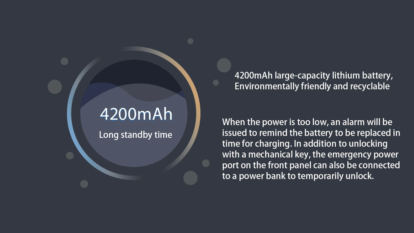 Waterproof Outdoor Smart  Lock Wifi Alexa Tuya APP Aluminium Alloy Material Fingerprint Password Smart Door Lock With Camera - LKBA