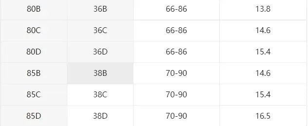 1 Set Elegant Lace Embroidery Breathable Fabric Lingerie Set Push-Up Bra Drop Waist Sheer Panty - Ultimate Valentine's Day - LKBA