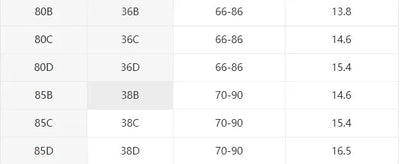 1 Set Elegant Lace Embroidery Breathable Fabric Lingerie Set Push-Up Bra Drop Waist Sheer Panty - Ultimate Valentine's Day - LKBA