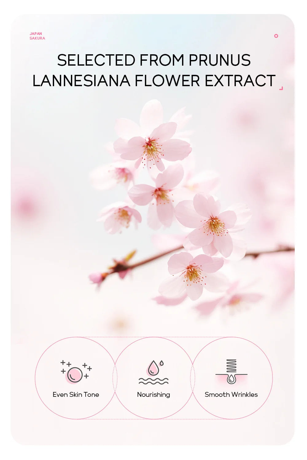 LAIKOU 24K Gold Sakura Peeling Face Mask Anti Wrinkle Whitening Blackhead Removal Facial Tear Off Mask Skin Care Products - LKBA