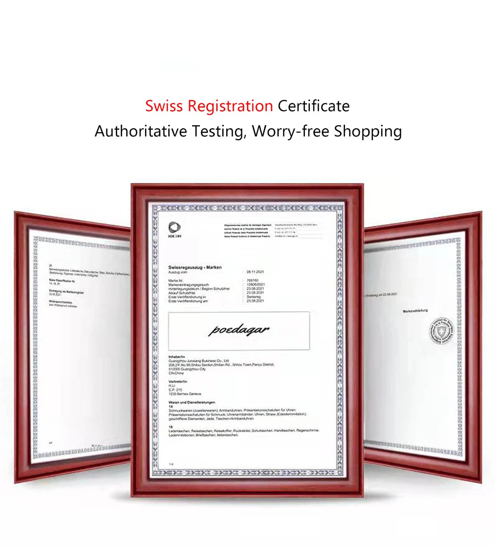 POEDAGAR Top Brand Luxury Men's Watches Waterproof Luminous Calendar Week Watch For Man Casual Stainless Steel Quartz Men Watch - LKBA