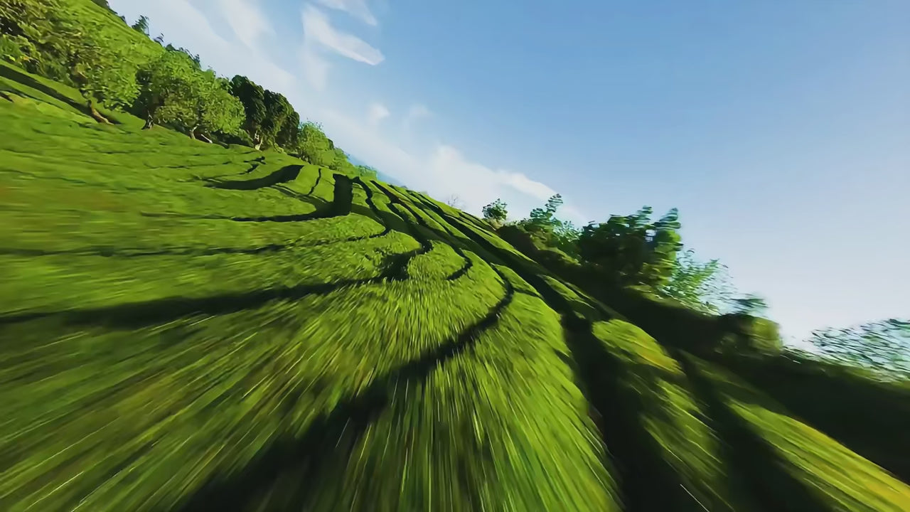 S156 RC Drone 2.4G 5G GPS Professional 8K HD Aerial Photography Remote Control Aircraft HD Dual Camera Quadcopter