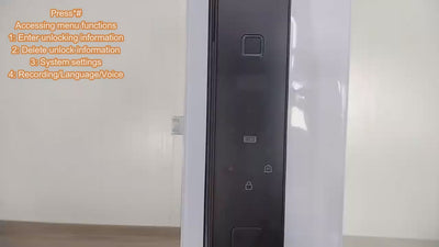 Electronic Automatic Smart Door Lock 3D Face Recognition Fingerprint Keyless Password Wi-Fi Camera frid Card Home Lock with Tuya