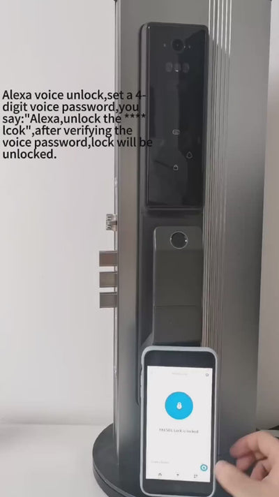 Waterproof Outdoor Smart  Lock Wifi Alexa Tuya APP Aluminium Alloy Material Fingerprint Password Smart Door Lock With Camera